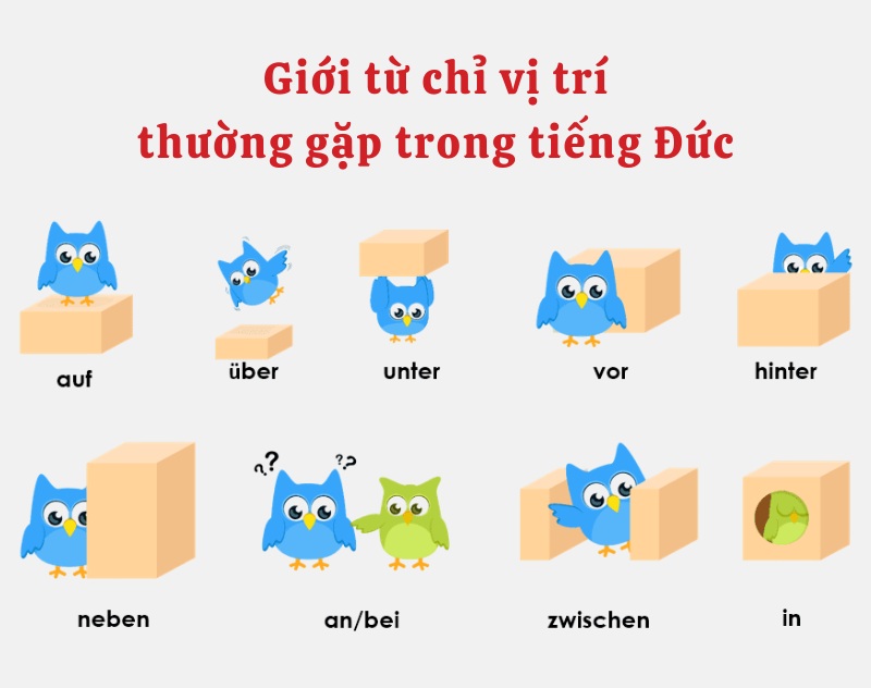 Giới từ phổ biến trong ngữ pháp A1 tiếng Đức và cách sử dụng