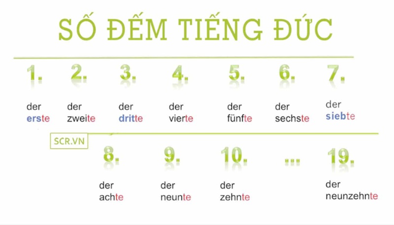 Từ vựng số đếm và ngày tháng A1 giúp người mới sử dụng tiếng Đức linh hoạt hằng ngày