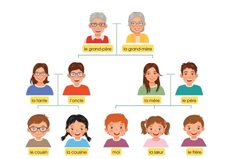 Từ vựng gia đình A1 giúp người mới giới thiệu bản thân bằng tiếng Đức
